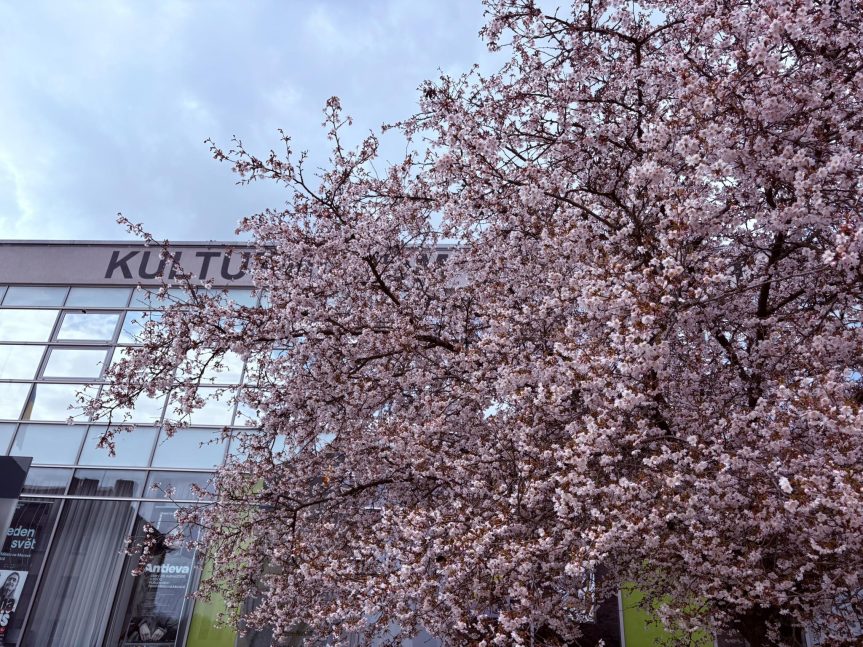 Předprodej vstupenek dočasně v KD. Muzeum čeká velká proměna