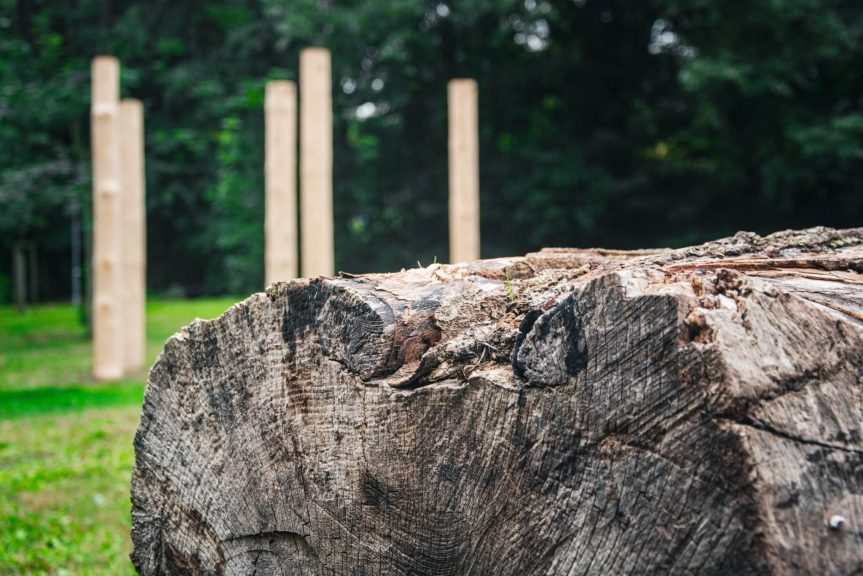 Nové Město na Moravě představí proměnu lokality u Kazmírova rybníka